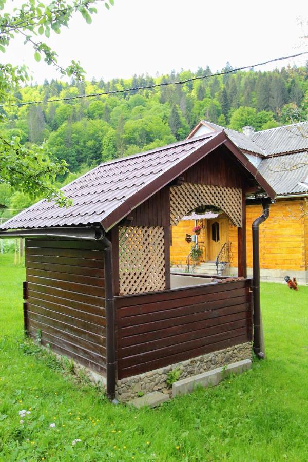 Ferienwohnung Багрівчанка Jaremtsche Exterior foto