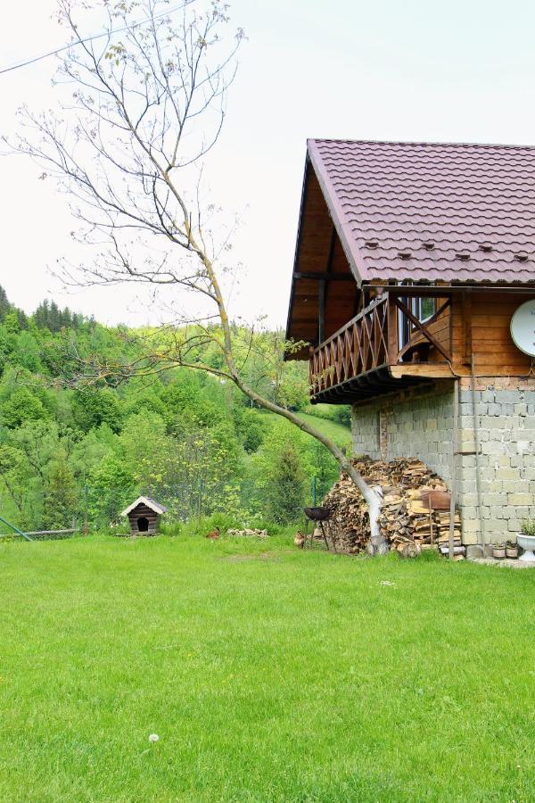 Ferienwohnung Багрівчанка Jaremtsche Exterior foto